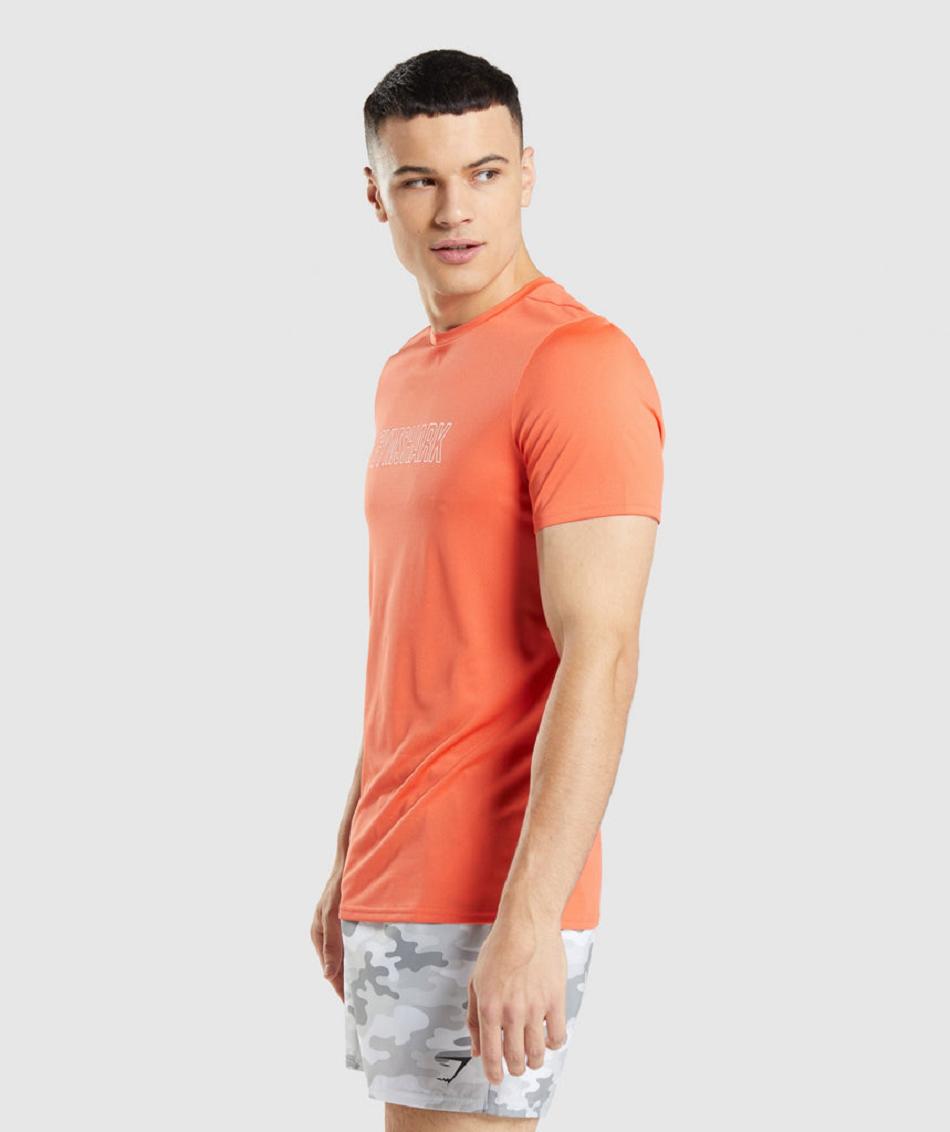 T Shirts Męskie Gymshark Arrival Grafiką Pomarańczowe | PL 3853LIS